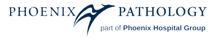 Phoenix_logo_4-removebg-preview 1